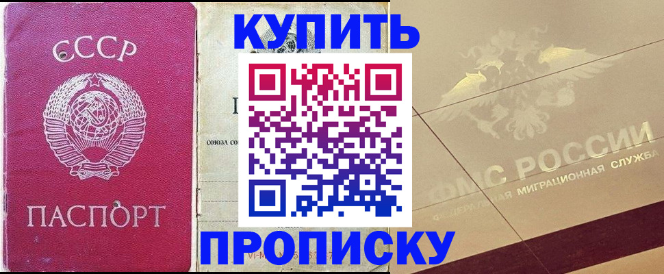 прописка для школы в Заринске